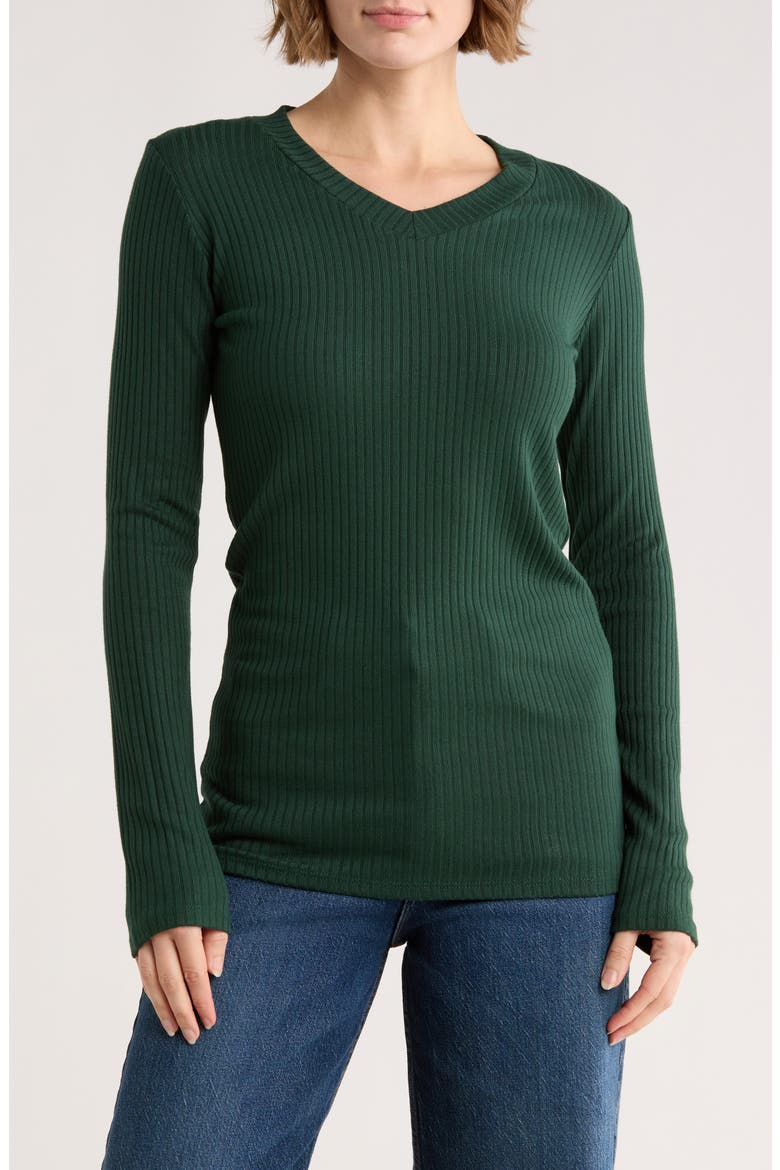 V-Neck Long Sleeve T-Shirt, Main, color, AVENTURINE
