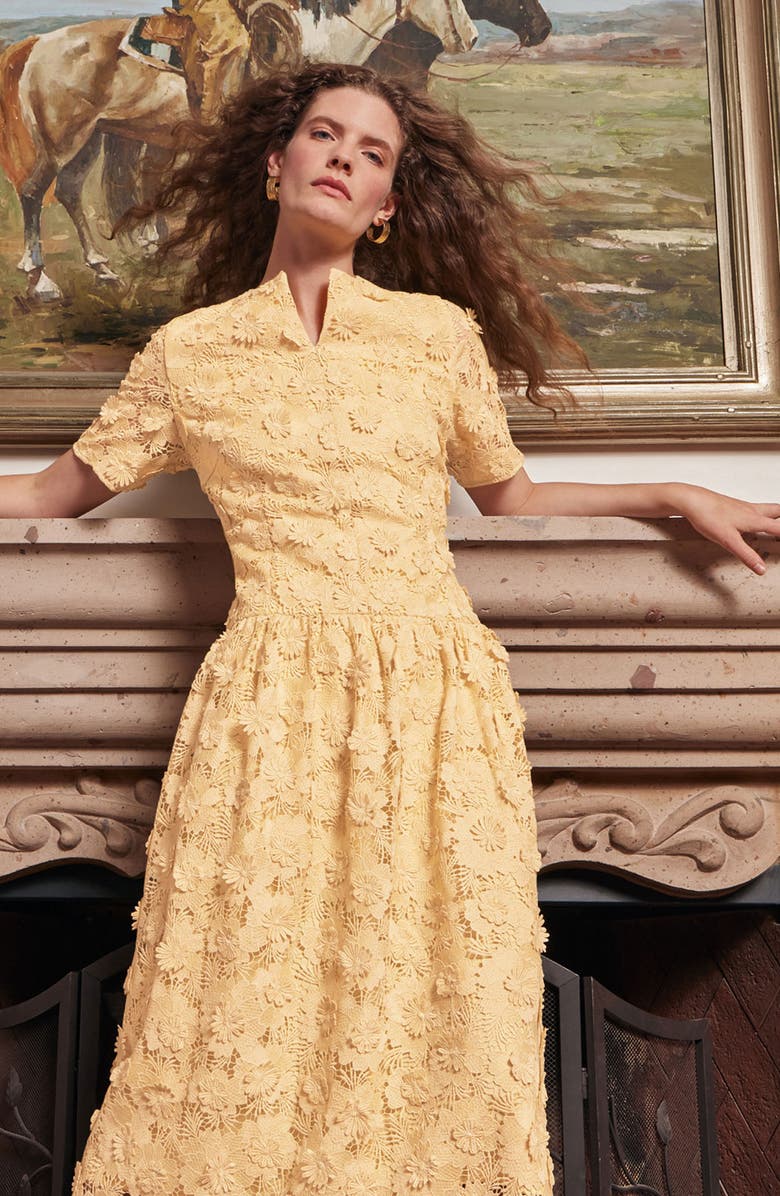 Misook Lace Pleated Drop Waist Maxi Dress, Alternate, color,