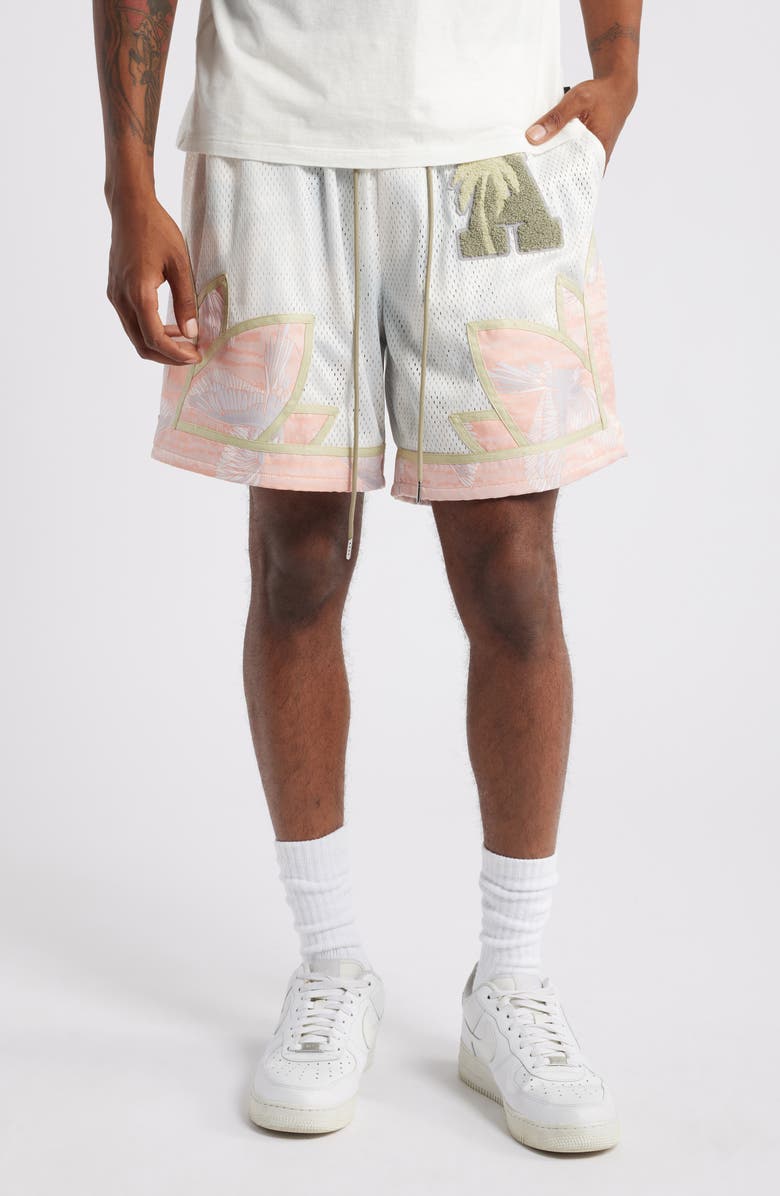 Island Avenue Kakapo Mesh Basketball Shorts, Main, color,
