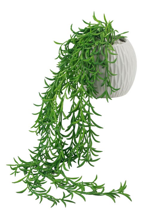 String of Bananas in Ceramic Vase - 4"