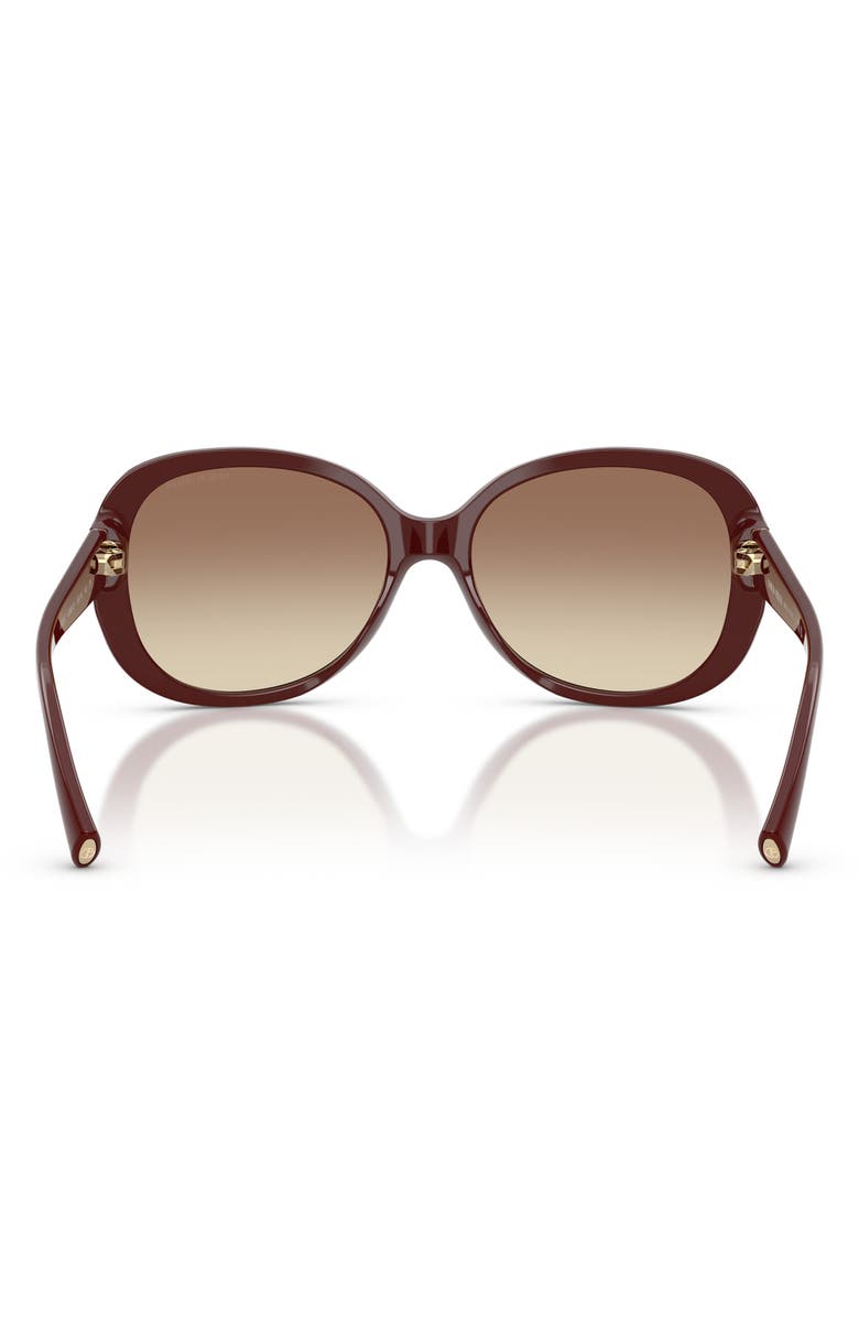 ARMANI 56mm Round Sunglasses, Alternate, color, Burgundy / Brown Gradient