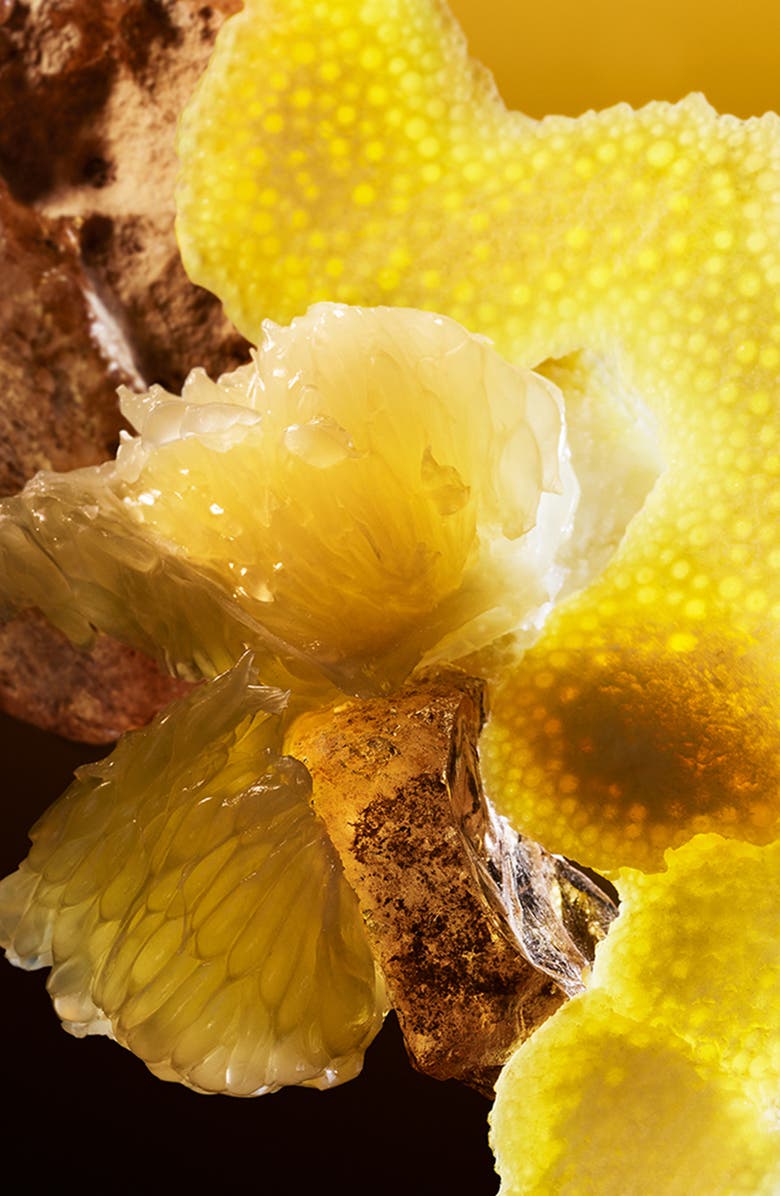 BVLGARI Le Gemme Tygar x Refik Anadol Eau de Parfum, Alternate, color, 