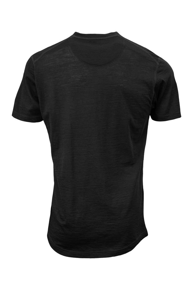 Cassius Merino Wool Jersey Crew Neck T-Shirt, Alternate, color, Black