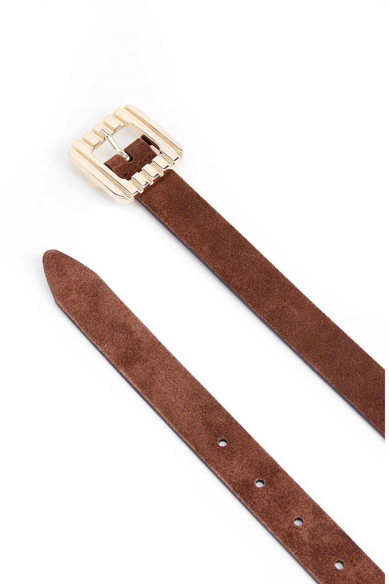 Suede Belt, Alternate, color, WARM TRUFFLE