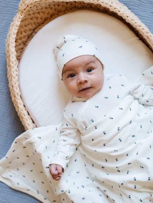 Ely's & Co. Baby Cotton Ribbed Beanie In Ivory/blue Berry