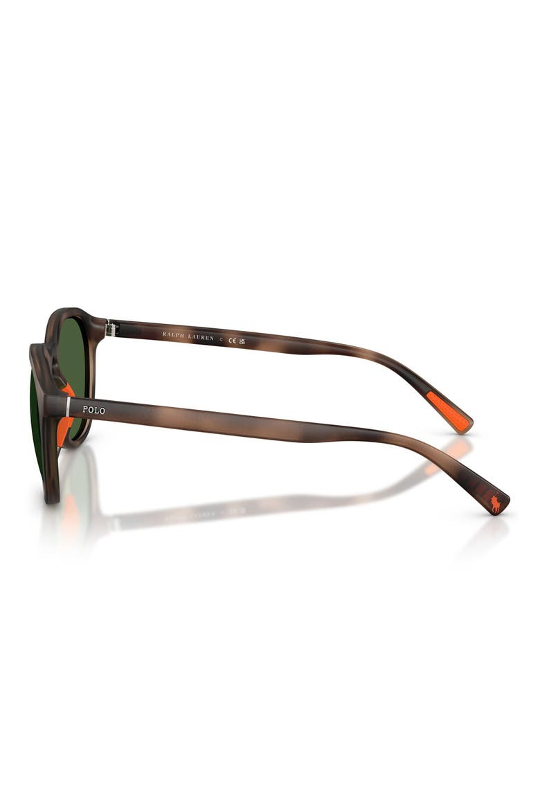 53mm Round Sunglasses, Alternate, color, MATTE DARK HAVANA / GREEN