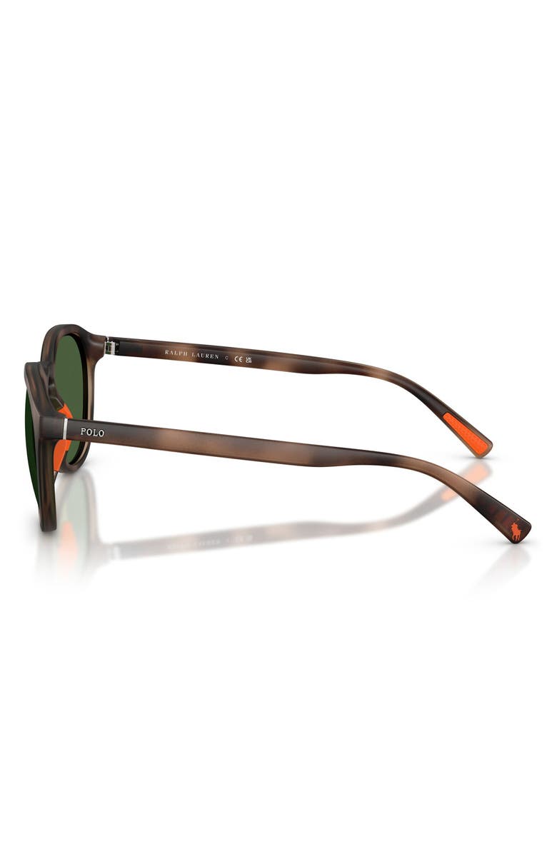 Polo Ralph Lauren 53mm Round Sunglasses, Alternate, color, Matte Dark Havana / Green