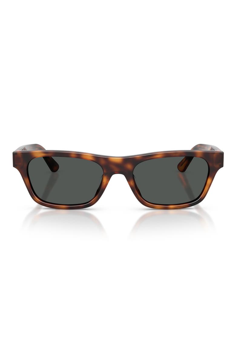 PH4238U 53mm Rectangle Sunglasses, Main, color, SHINY MARRONE TARTARUGA / GREY