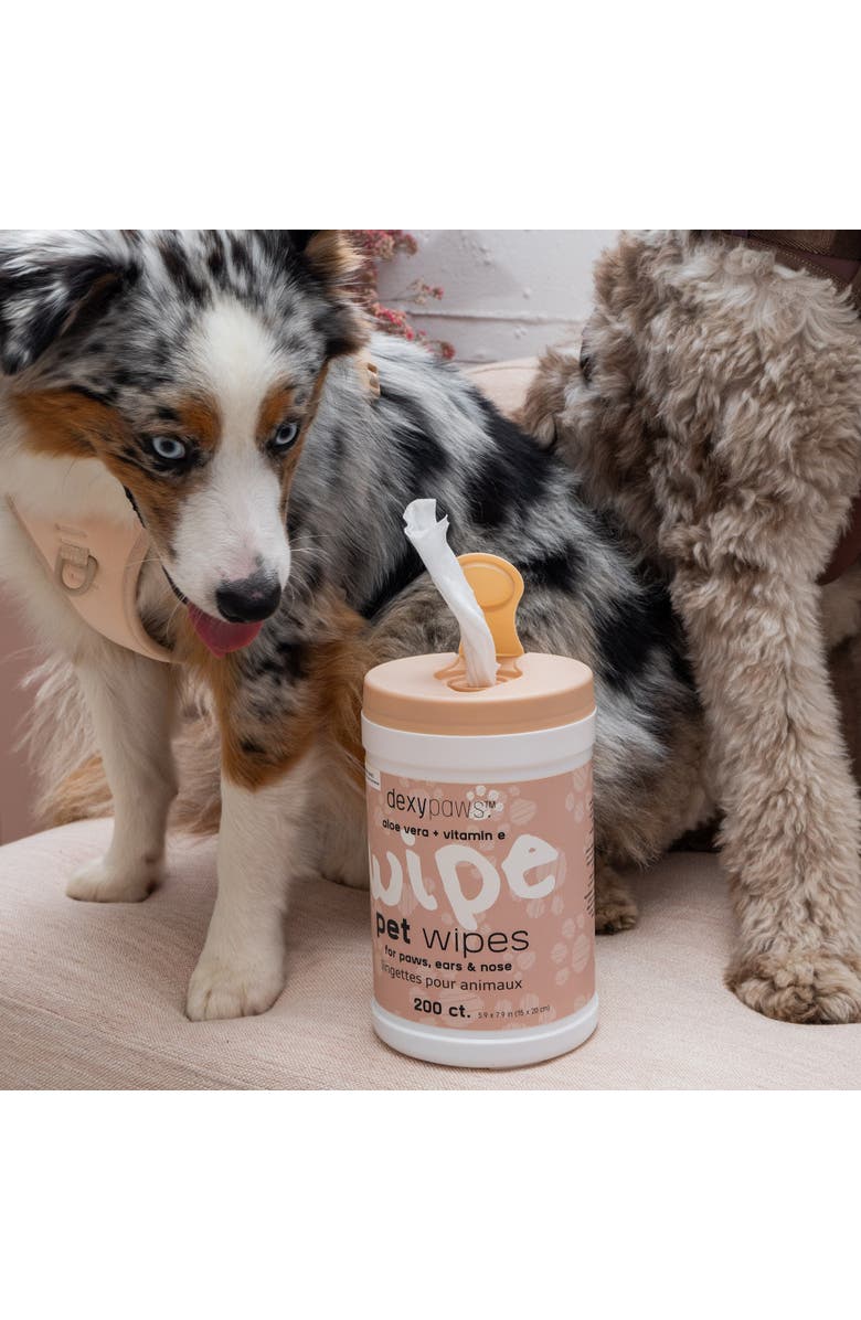 Dexypaws Pet Cleansing Wipes Canister 200Ct, Alternate, color, 