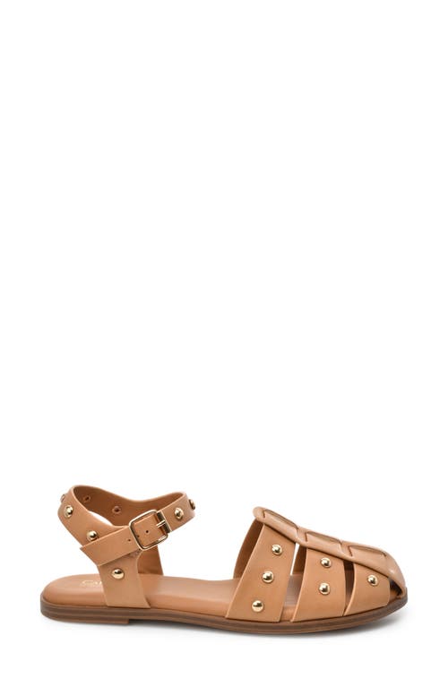 Catherine Catherine Malandrino Studded Fisherman Sandal In Tan
