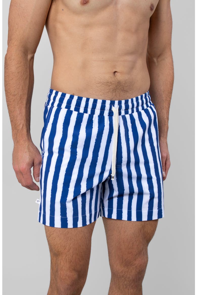 Blue Wake Swim Trunk, Alternate, color, Blue Wake