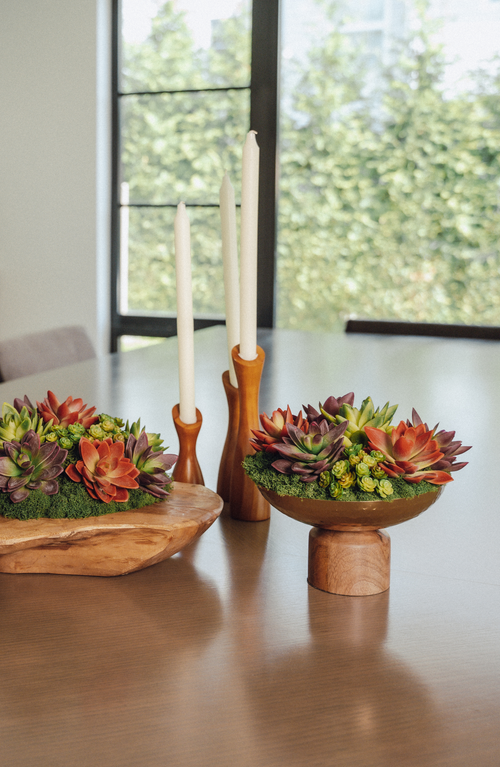 Cocobella Petra Succulent Wooden Pedestal Arrangement
