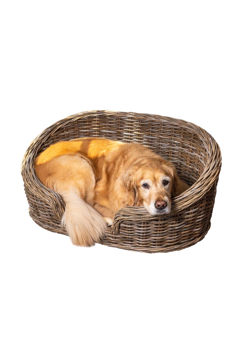 Curvy Classic Handwoven Rattan Pet Bed with Machine-Washable Cushion, Alternate, color, Kubu Gray (28.5L x 17.5W)