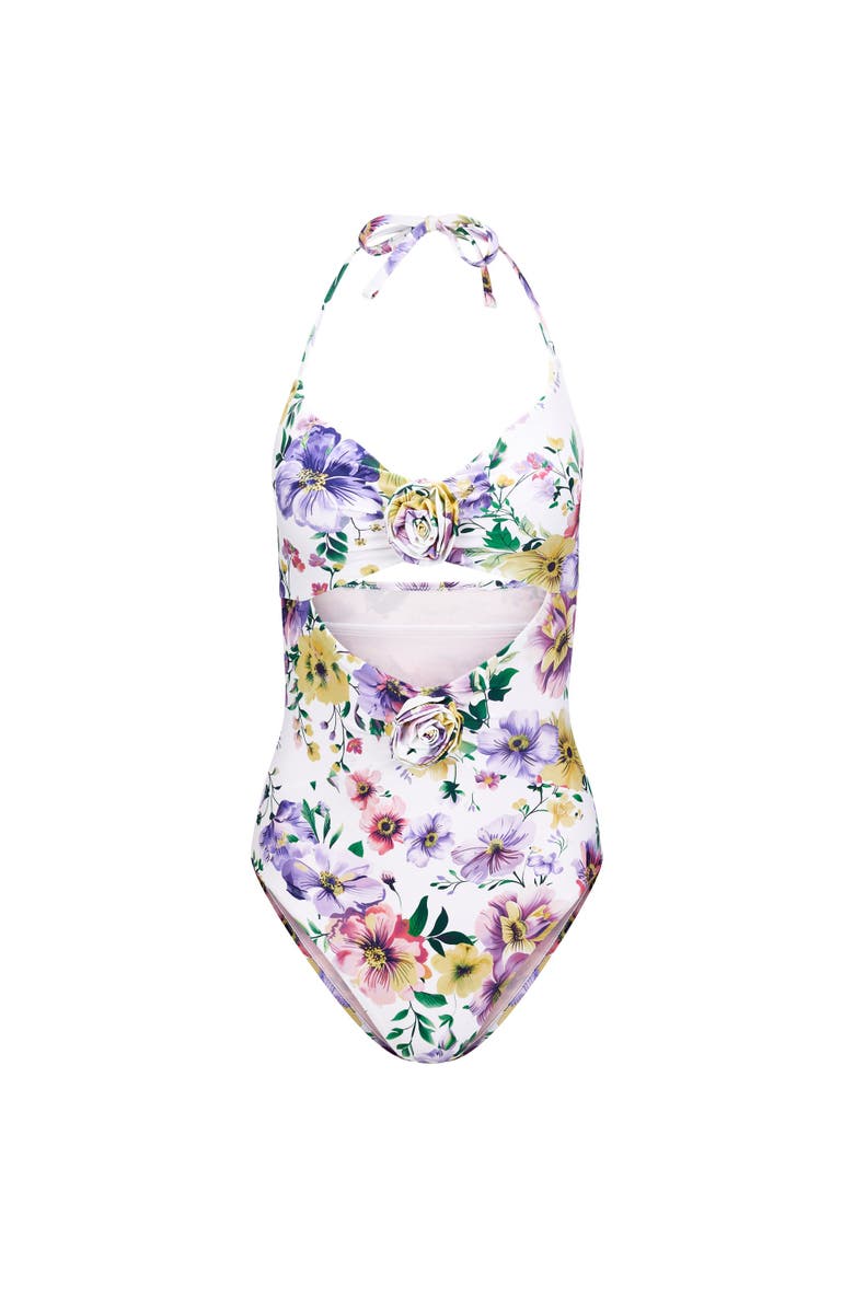 Adore Me Zola Swimwear One Piece Swimsuit, Alternate, color, 