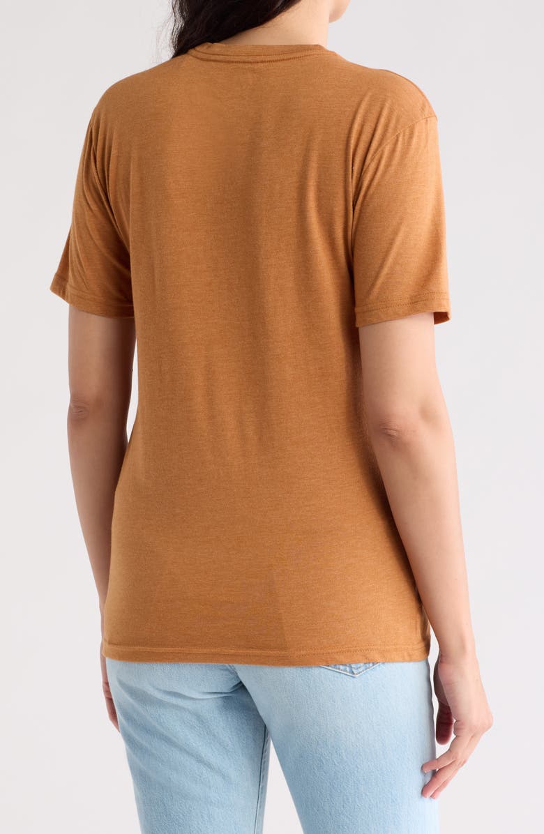 Cotopaxi Day & Night Organic Cotton Blend Graphic T-Shirt, Alternate, color, 