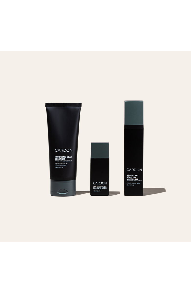 Cardon Essentials Skincare Set for Men, Main, color, None (None)