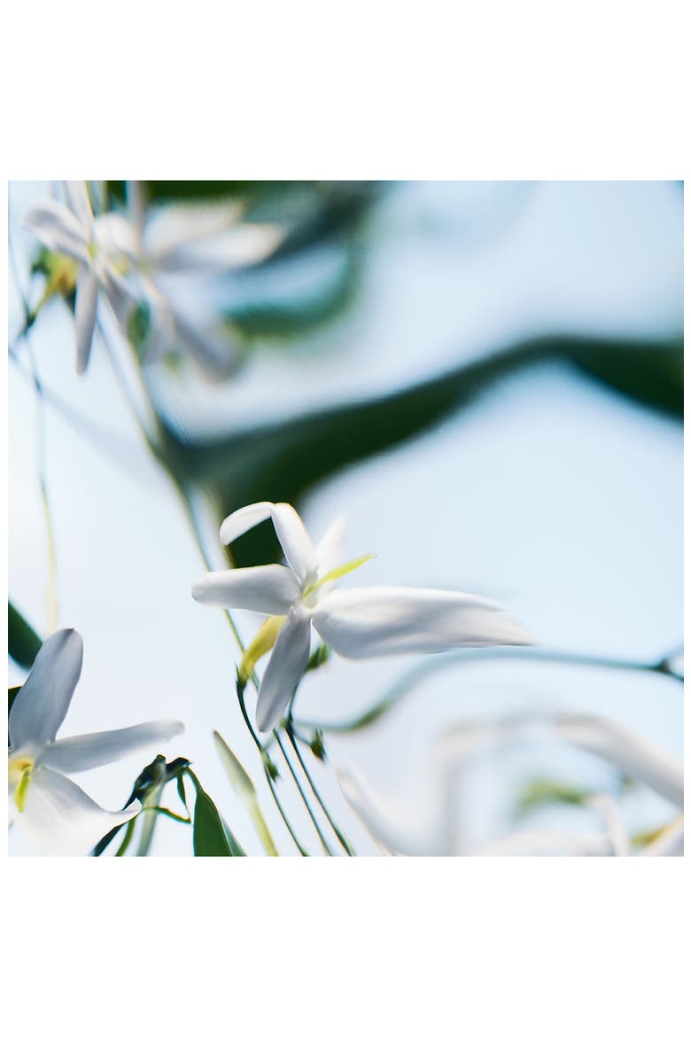Blanche Absolu de Parfum, Alternate, color, NO COLOR