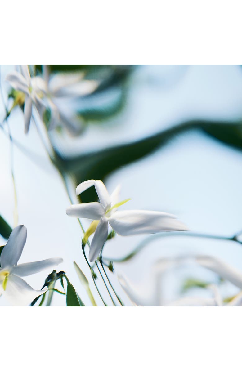 BYREDO Blanche Absolu de Parfum, Alternate, color, 