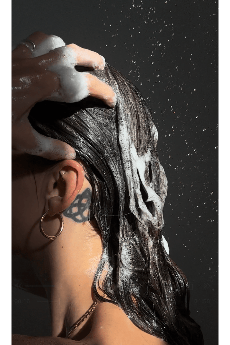 Equilibrium Shampoo, Alternate, color, None (none)