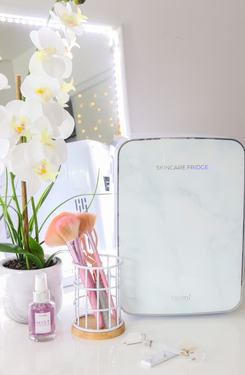 TEAMI 10L Skin Care Fridge, Alternate, color,