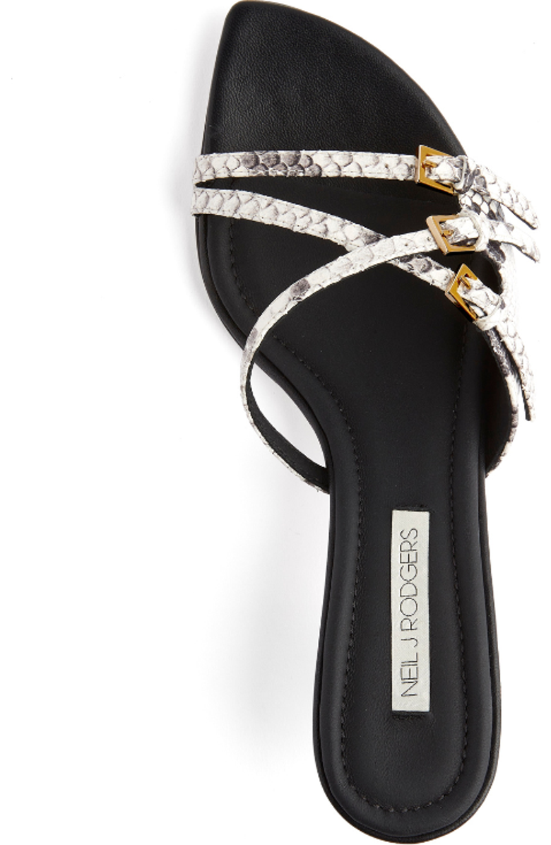 Neil J. Rodgers Lena Mule, Alternate, color,