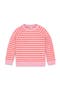  Blossom Clementine Stripe