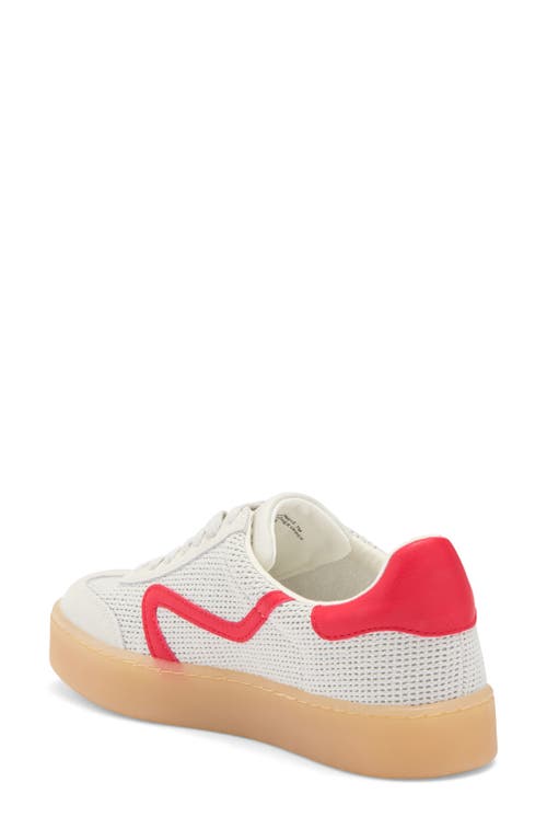 STEVE MADDEN STEVE MADDEN REFORMER SNEAKER 