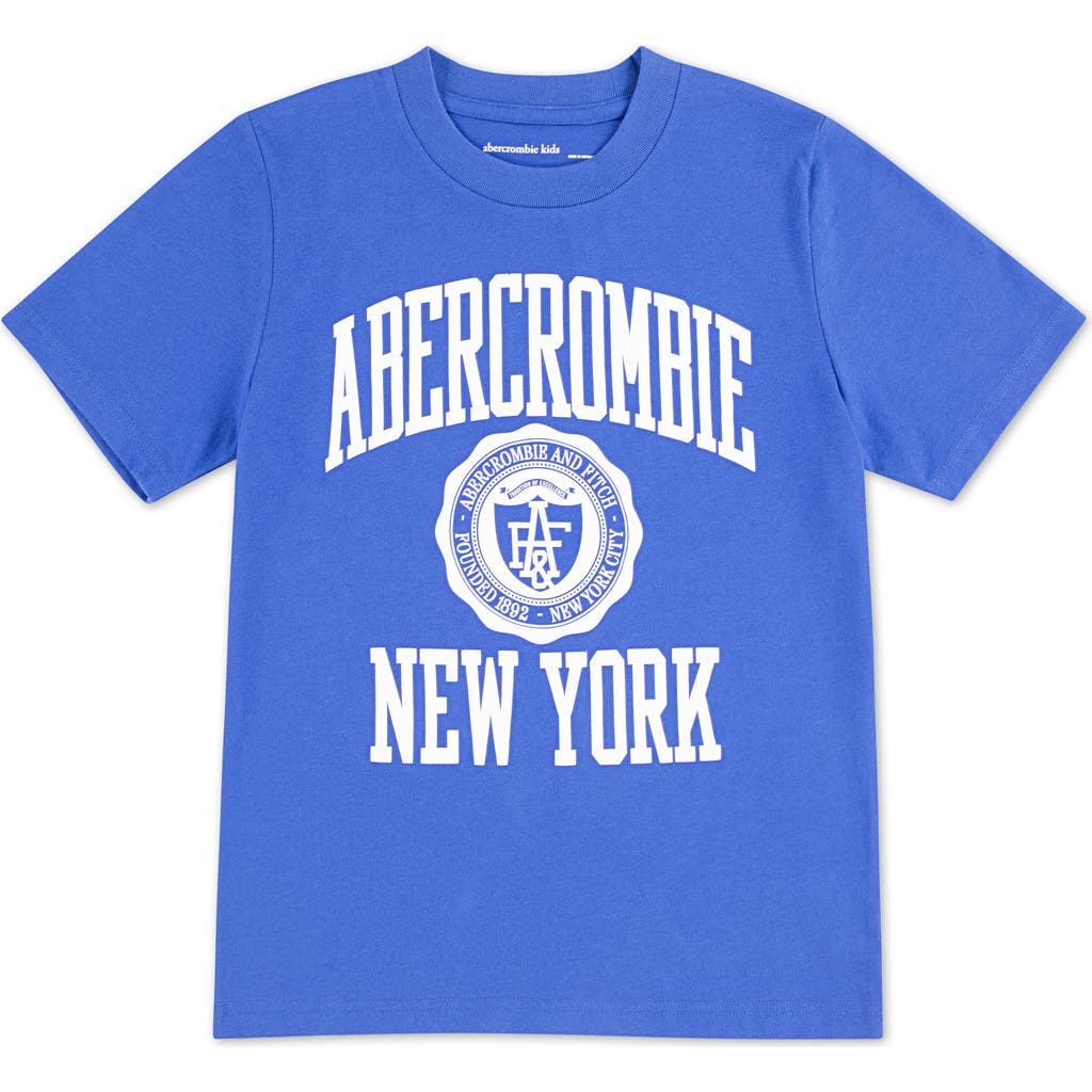 Abercrombie Kids Kids' Collegiate Tee In Blue