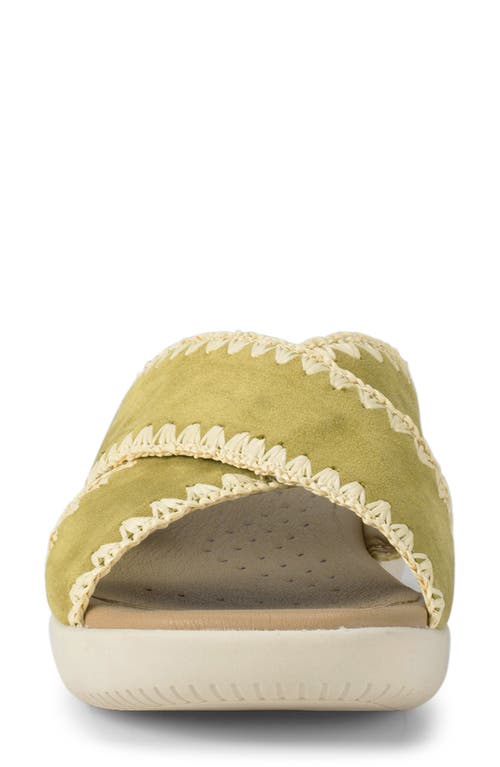 Baretraps Women's Origins Dolinda Slide Slip-on Sandals In Kelp Suede