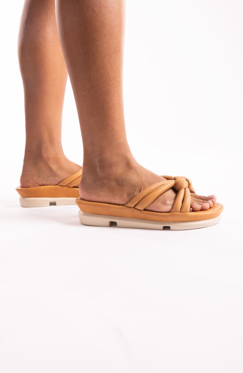 L'amour Des Pieds Veda Sandal In Lioness