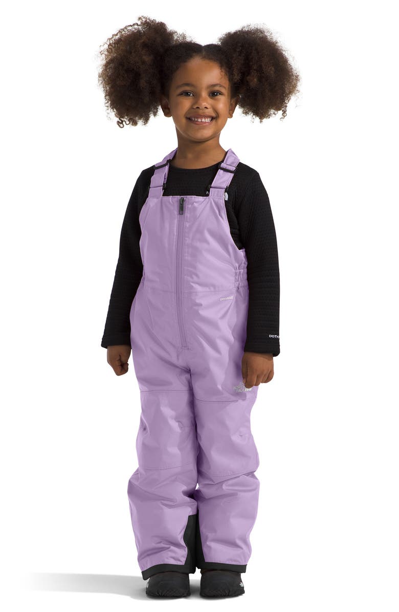 The North Face Kids' Freedom Insulated Waterproof Snow Bibs, Alternate, color, 