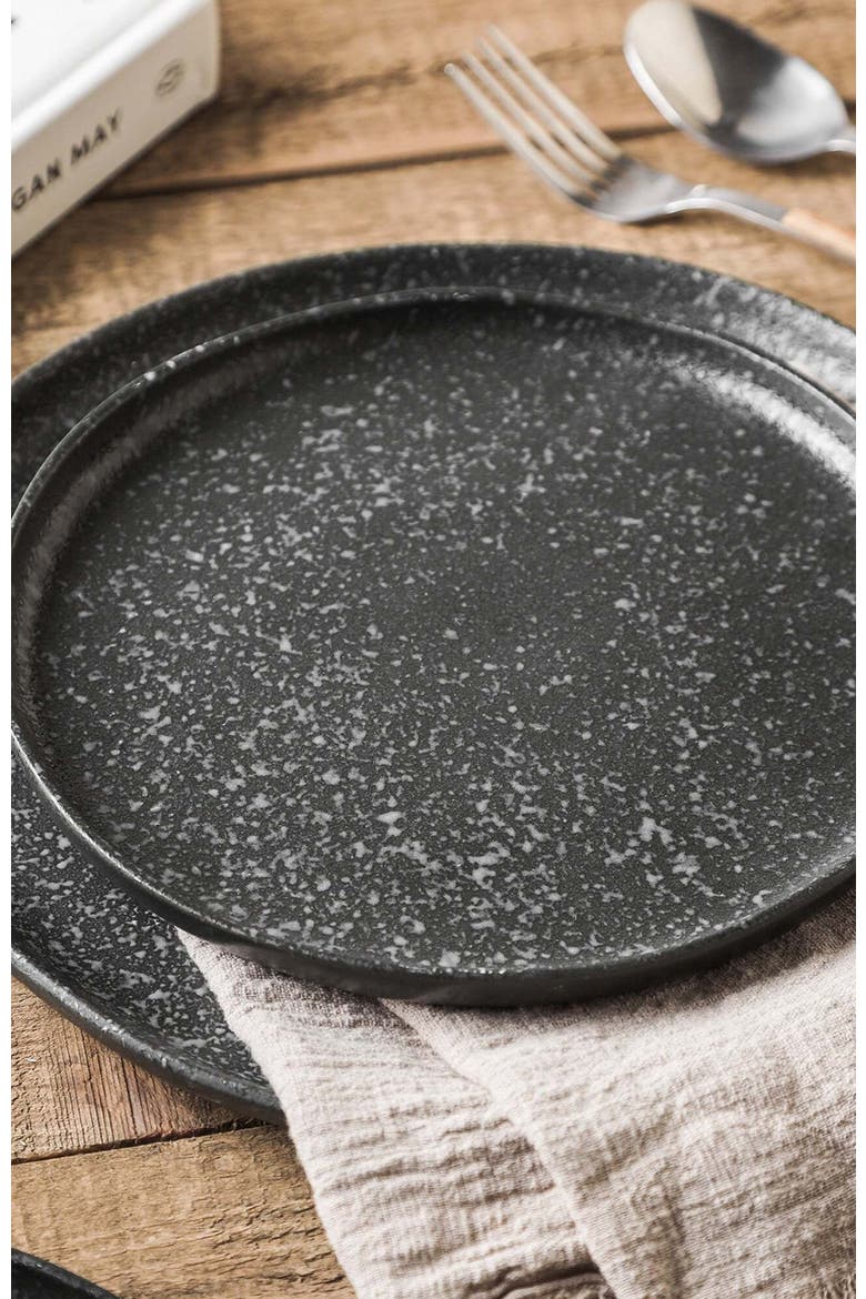 Tom Stoneware 4-Piece Dinner Plate Set, Alternate, color, Black and White
