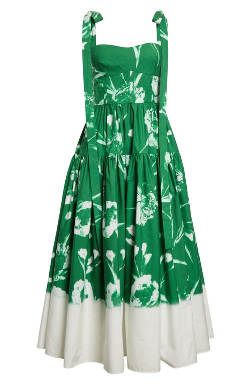 Shop Erdem Floral Print Cotton Poplin Fit & Flare Midi Dress In Carnation Cyanotype Clover
