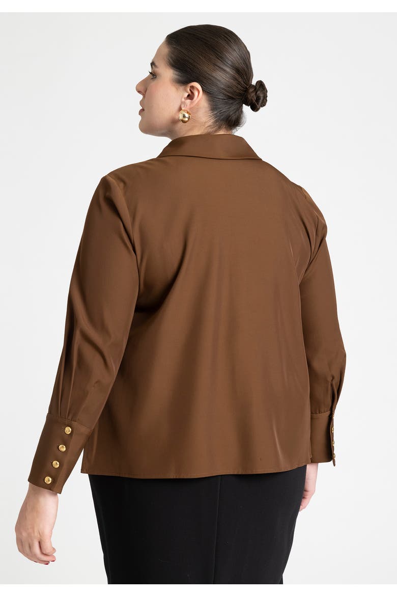 Pointed Collar Button Up Shirt, Alternate, color, CARAFE