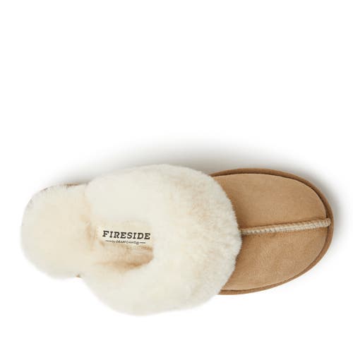 Dearfoams Fireside Melton Genuine Shearling Platform Scuff Slipper In Nude