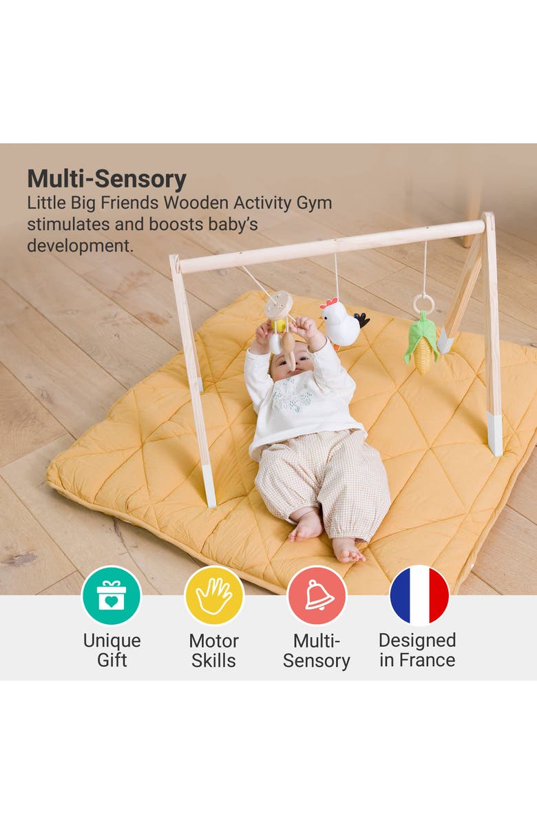 Little Big Friends Wooden Activity Arch - Farm, Baby Gym & Sensory Toys, Alternate, color, Multicolor