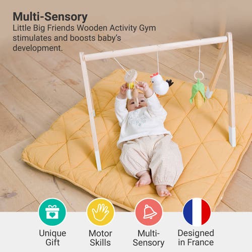 Little Big Friends Wooden Activity Arch In Multi