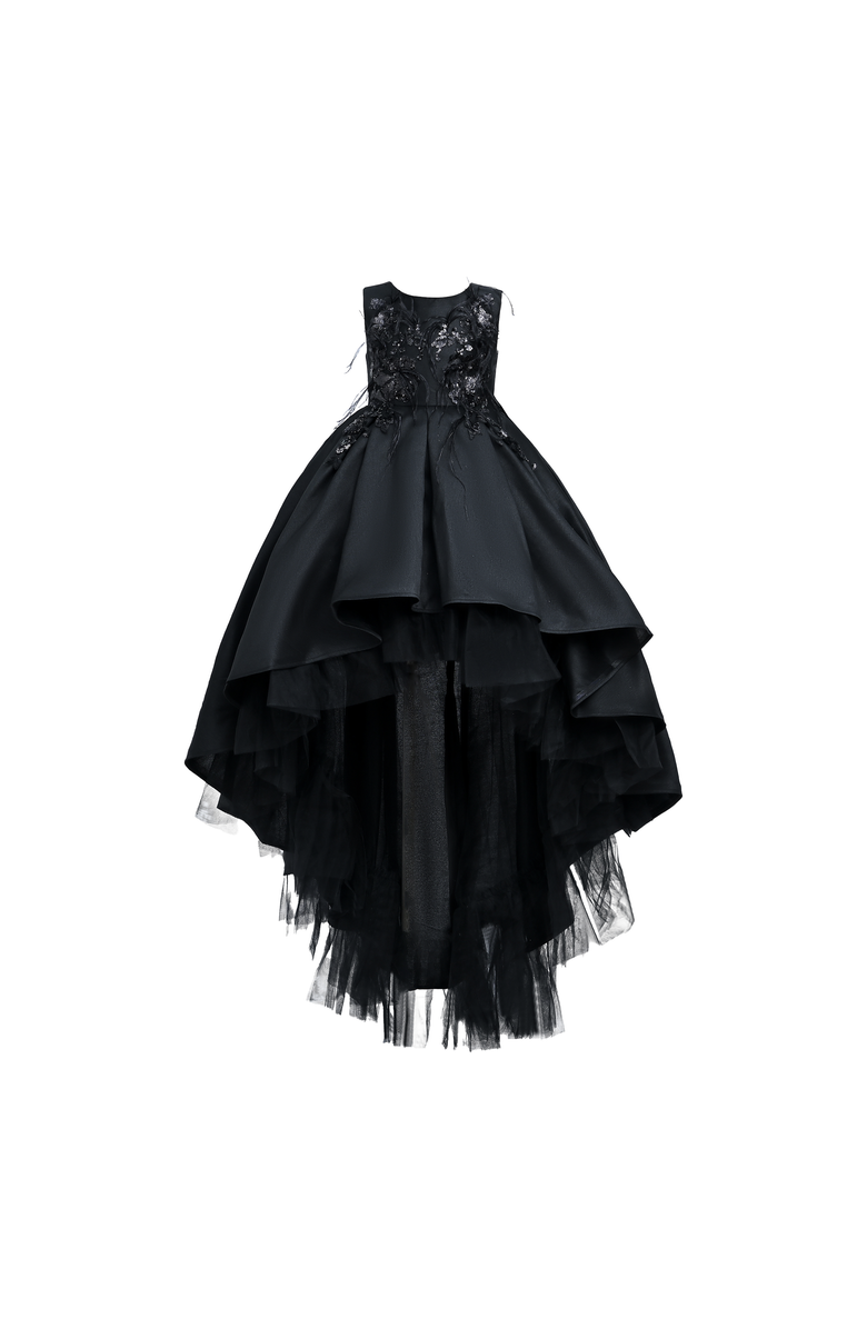 Tulleen Salem Dress, Main, color, Black