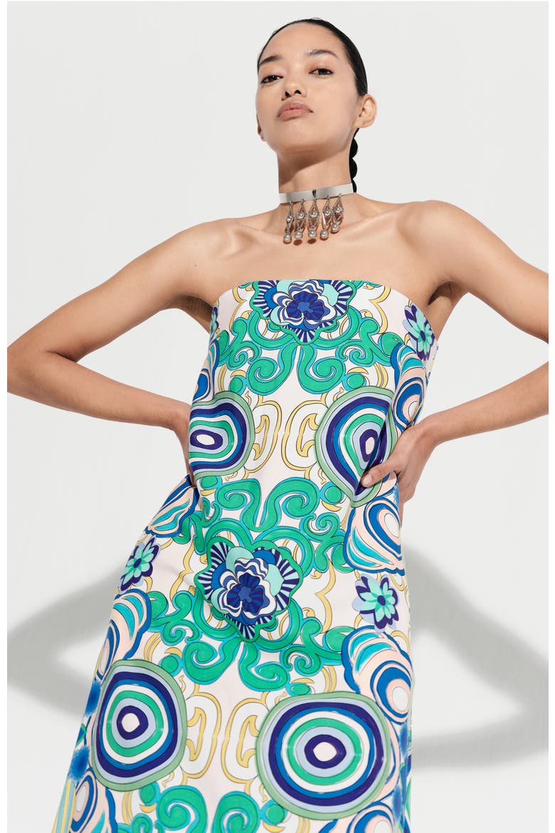 Aloe Column Cotton Maxi Dress, Alternate, color, Lunada Print