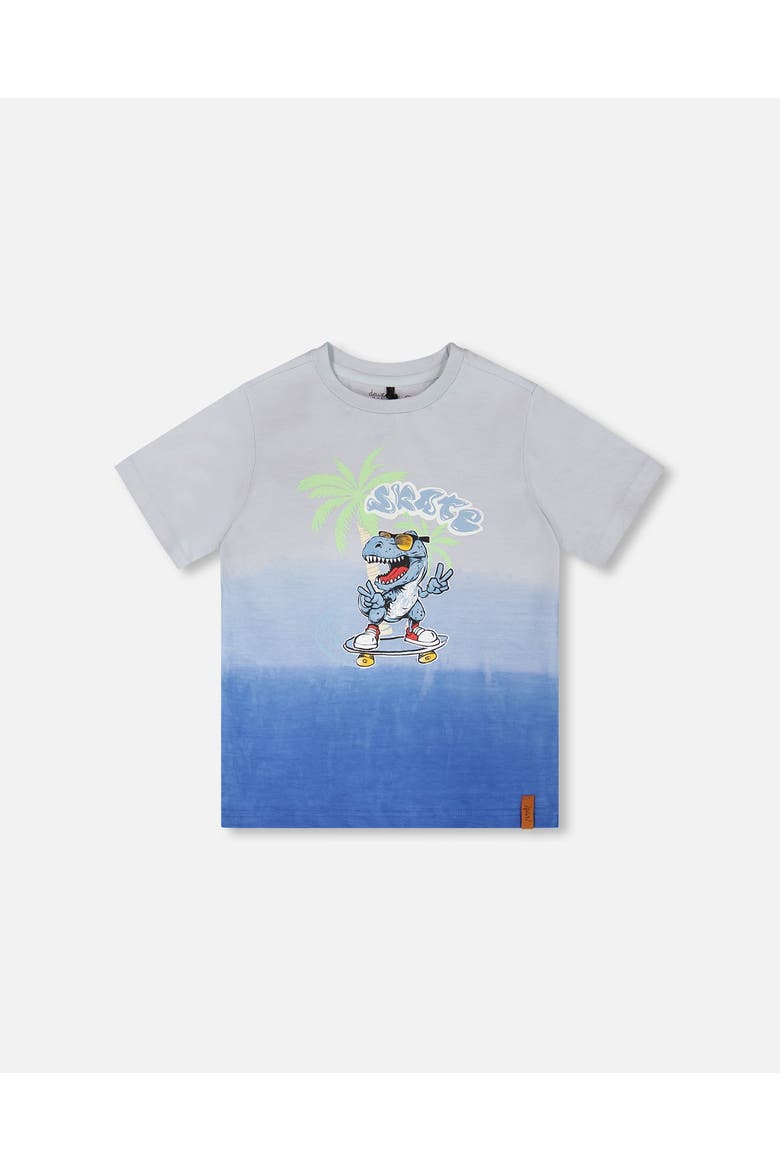 Organic Cotton Jersey T-Shirt with Gradient, Main, color, Gradient Pale Blue