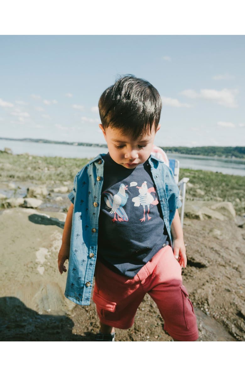 Deux par Deux Organic Cotton Seagull Graphic Short Sleeve T-Shirt, Alternate, color, Blue