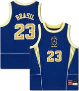Jordan Brand Youth Jordan Brand Royal Brazil National Team Mesh Basketball Fashion Jersey