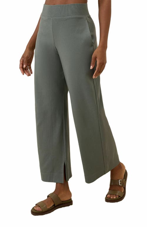 Pact Organic Cotton Airplane Wide Leg Pant In Gray