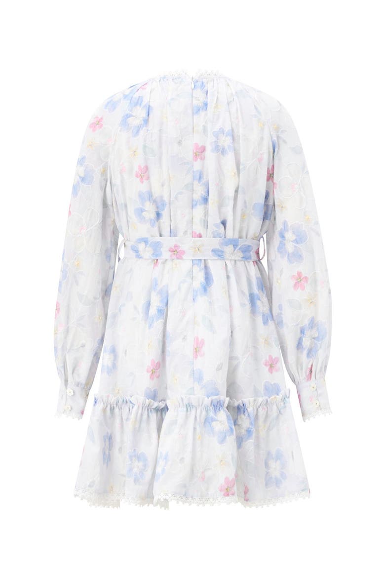 Deanna Sleeve Embroidered Mini Dress, Alternate, color, Multi