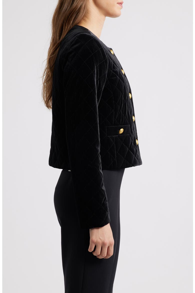 Quilted Crop Velvet Jacket, Alternate, color, BLACK