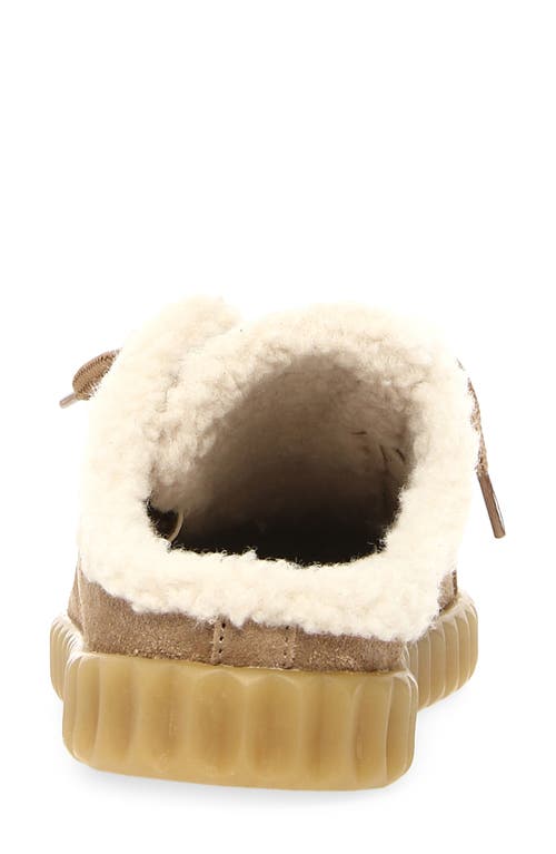 Voile Blanche Ines Genuine Shearling Mule In Brown