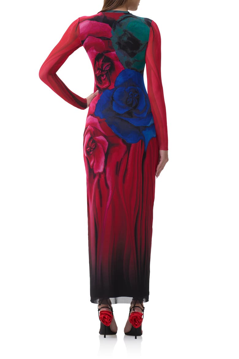 Didi Printed Long Sleeve Mesh Maxi Dress, Alternate, color, MULTI BLUR ROSE