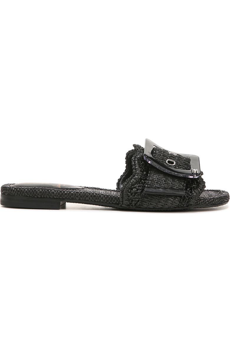 Sam Edelman Bambi Raffia Buckle Slide Sandal, Alternate, color,