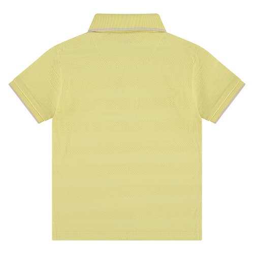 Stains And Stories By Babyface Textured Pattern Polo Shirt In Green