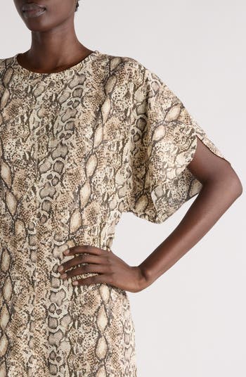 Isabel Marant Keany Snakeskin Print Stretch Silk Dress